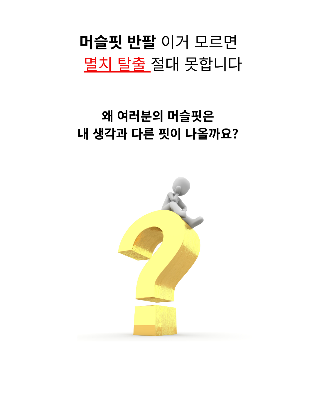 KakaoTalk_20260803_032037431